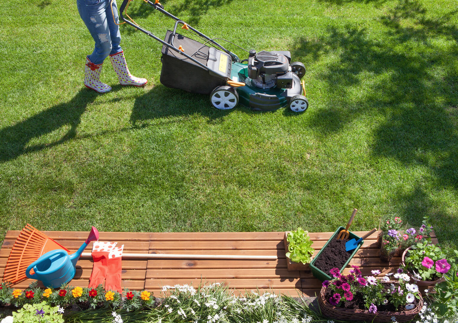 Affordable Stump Grinding