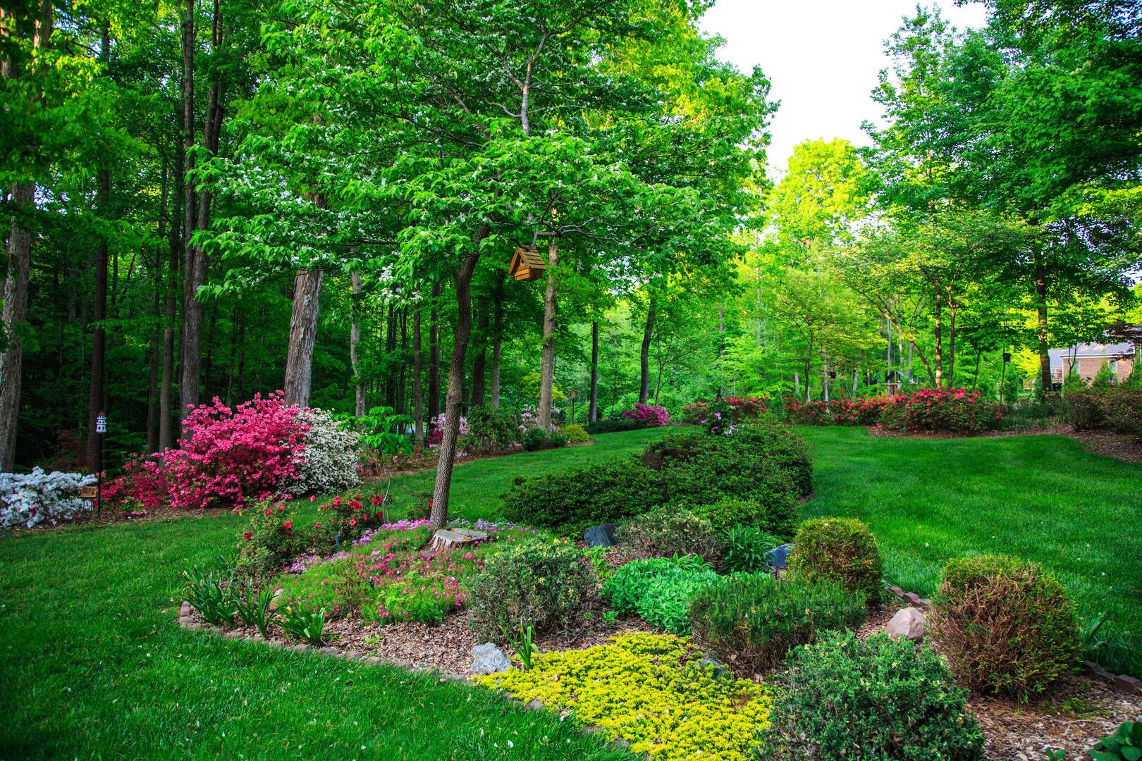 Double D Tree Service LLC